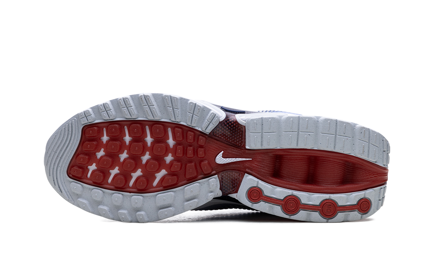 Air Max Dn "Team USA"